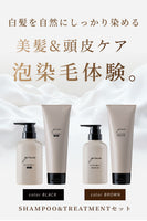 Color Shampoo & Treatment